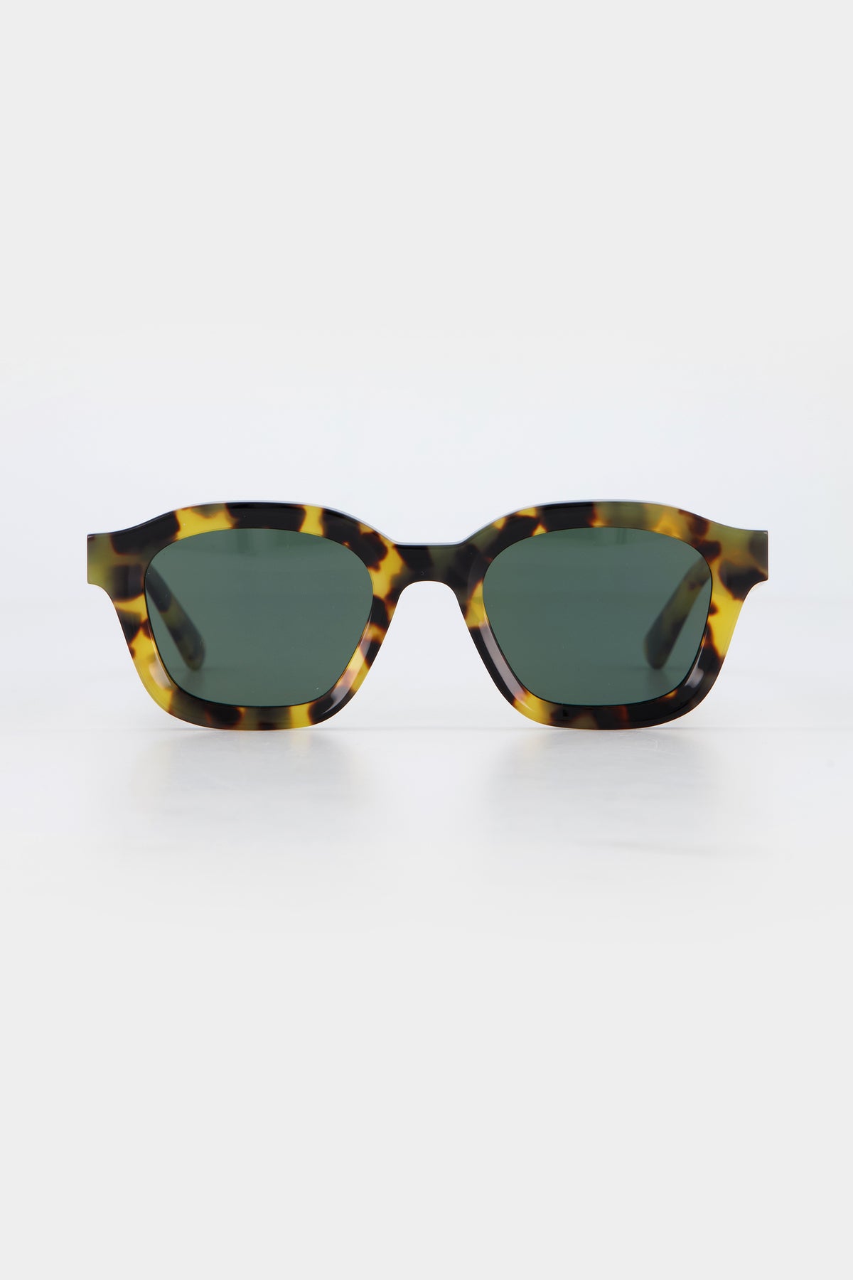 Isle of Eden Harley tortoise sunglasses, front view showing bold frame and dark lenses
