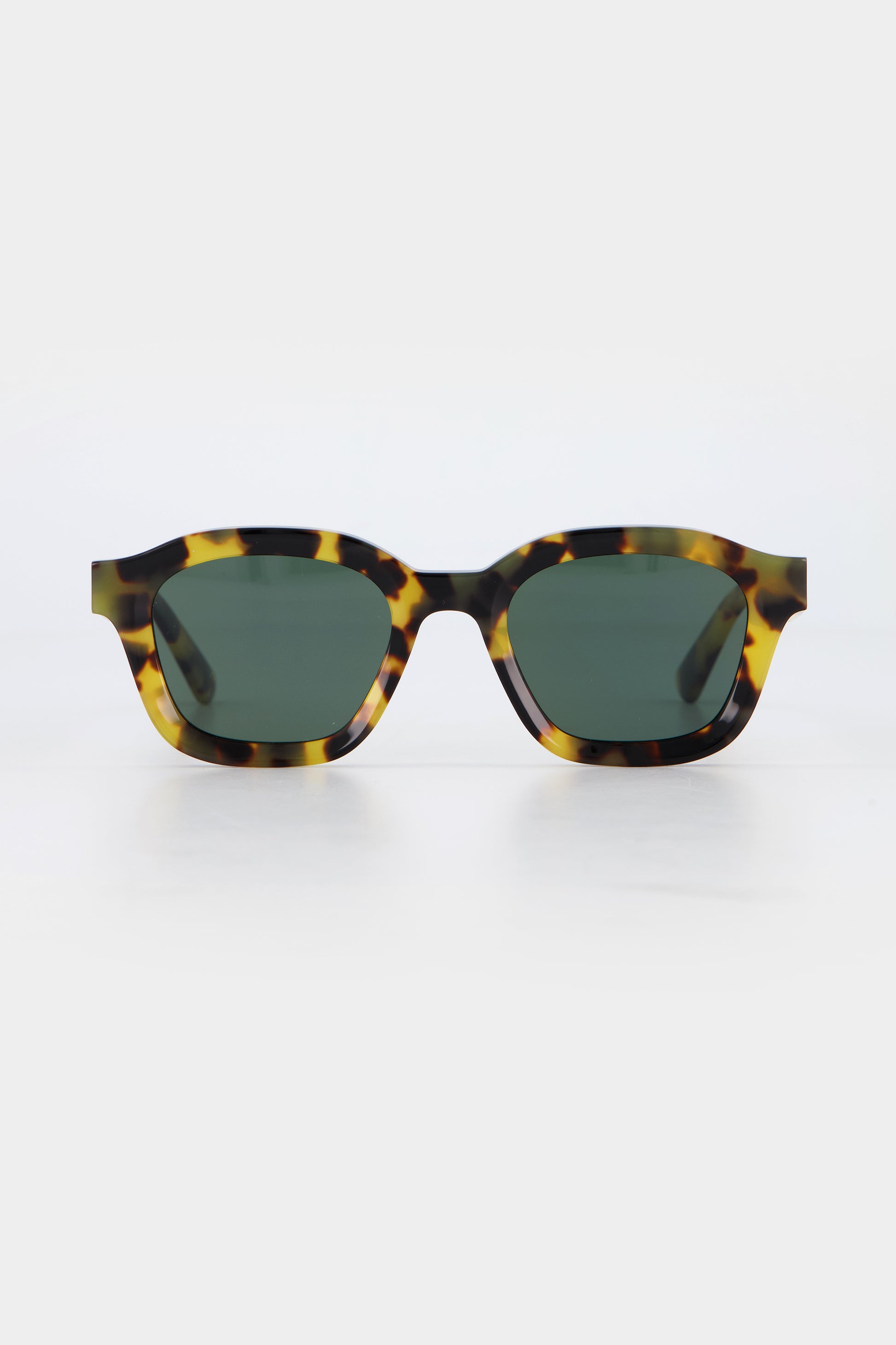 Isle of Eden Harley tortoise sunglasses, front view showing bold frame and dark lenses